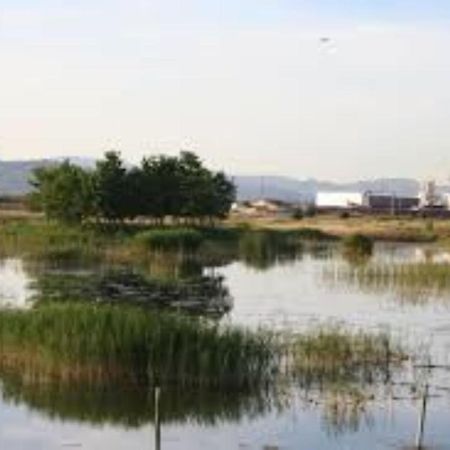 Apartamento Cerca De Playa Y Montana Ideal Familias O Relax Puzol Exteriér fotografie