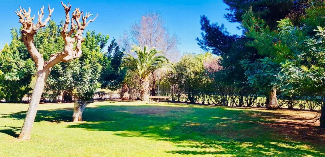 Apartamento Cerca De Playa Y Montana Ideal Familias O Relax Puzol Exteriér fotografie